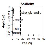 Photo: Site GP74 Sodicity