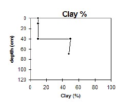 GP77 clay
