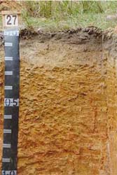 Land Capability Assessment of the Cardinia Shire - Tech Report 29 - Plate 10