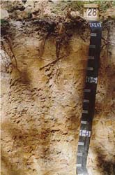 Land Capability Assessment of the Cardinia Shire - Tech Report 29 - Plate 11