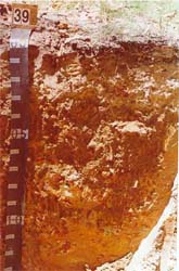 Land Capability Assessment of the Cardinia Shire - Tech Report 29 - Plate 13