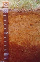 Land Capability Assessment of the Cardinia Shire - Tech Report 29 - Plate 14