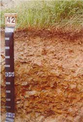 Land Capability Assessment of the Cardinia Shire - Tech Report 29 - Plate 15