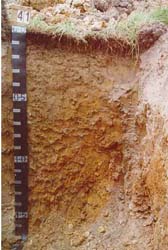 Land Capability Assessment of the Cardinia Shire - Tech Report 29 - Plate 16