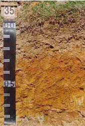 Land Capability Assessment of the Cardinia Shire - Tech Report 29 - Plate 17