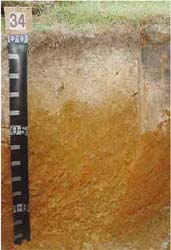 Land Capability Assessment of the Cardinia Shire - Tech Report 29 - Plate 18