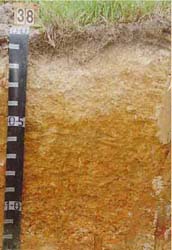 Land Capability Assessment of the Cardinia Shire - Tech Report 29 - Plate 19