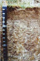 Land Capability Assessment of the Cardinia Shire - Tech Report 29 - Plate 2