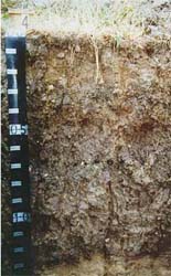 Land Capability Assessment of the Cardinia Shire - Tech Report 29 - Plate 3