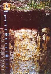 Land Capability Assessment of the Cardinia Shire - Tech Report 29 - Plate 4