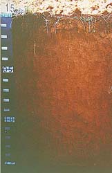 Land Capability Assessment of the Cardinia Shire - Tech Report 29 - Plate 5