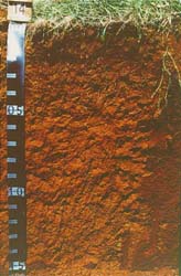 Land Capability Assessment of the Cardinia Shire - Tech Report 29 - Plate 6