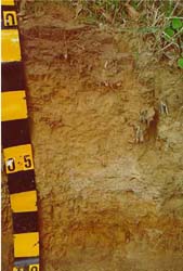 Land Capability Assessment of the Cardinia Shire - Tech Report 29 - Plate 8
