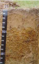 Land Capability Assessment of the Cardinia Shire - Tech Report 29 - Plate 9