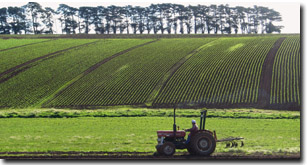 Photo: Cropping near Leongatha
