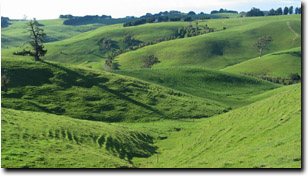 Photo: Hills near Leongatha