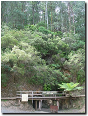 Photo: Entrance to Long Tunnel Extended Mine.
