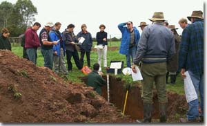 PHOTO: Maffra Field Days