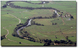 Photo: Riparian Zone