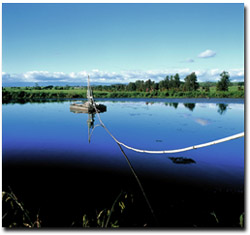 Photo: Planting trees on farms can achieve multiple benefits.