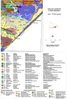 Sale Soils