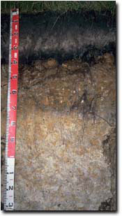 photo:site sg8 profile