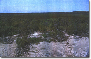 Image:  Marine and Coastal Parks Sites of Significance