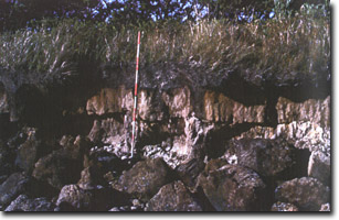 Image:  Marine and Coastal Parks Sites of Significance