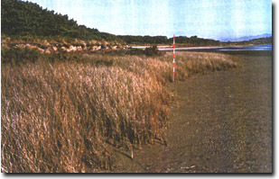 Image:  Marine and Coastal Parks Sites of Significance