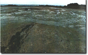 Image:  Marine and Coastal Parks Sites of Significance