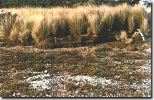 Image:  Marine and Coastal Parks Sites of Significance