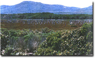 Image:  Marine and Coastal Parks Sites of Significance