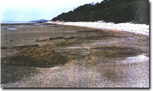 Image:  Marine and Coastal Parks Sites of Significance
