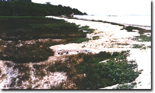 Image:  Marine and Coastal Parks Sites of Significance