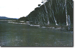 Image:  Marine and Coastal Parks Sites of Significance