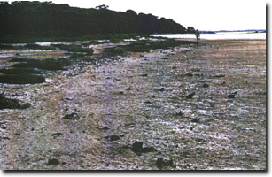 Image:  Marine and Coastal Parks Sites of Significance