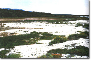 Image:  Marine and Coastal Parks Sites of Significance
