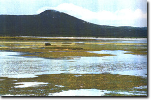 Image:  Marine and Coastal Parks Sites of Significance