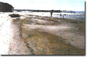 Image:  Marine and Coastal Parks Sites of Significance