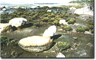 Image:  Marine and Coastal Parks Sites of Significance