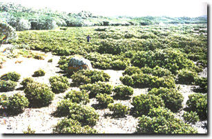 Image:  Marine and Coastal Parks Sites of Significance