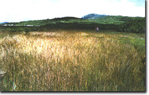 Image:  Marine and Coastal Parks Sites of Significance