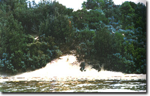 Image:  Marine and Coastal Parks Sites of Significance