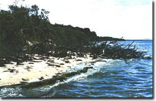 Image:  Marine and Coastal Parks Sites of Significance