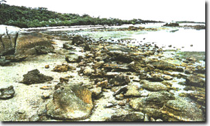 Image:  Marine and Coastal Parks Sites of Significance