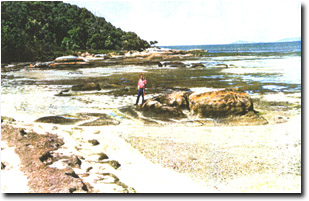 Image:  Marine and Coastal Parks Sites of Significance