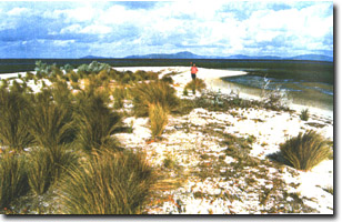 Image:  Marine and Coastal Parks Sites of Significance