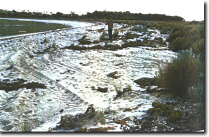 Image:  Marine and Coastal Parks Sites of Significance