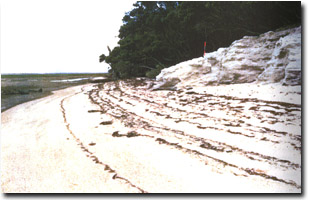 Image:  Marine and Coastal Parks Sites of Significance