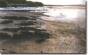 Image:  Marine and Coastal Parks Sites of Significance